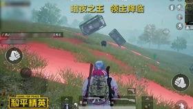 关于和平精英最新的爆料